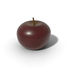 Arkansas Black apple