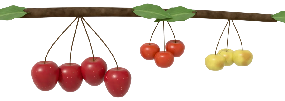 A crabapple limb hanging with long red Dolgo fruit, small orange-red Snowdrift fruit and yellow Manchurian fruit among green leaves