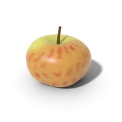 Gravenstein apple
