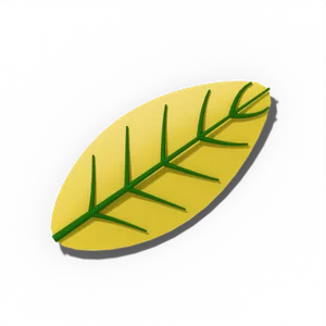 Yellow blueberry leaf with green veins from iron chlorosis