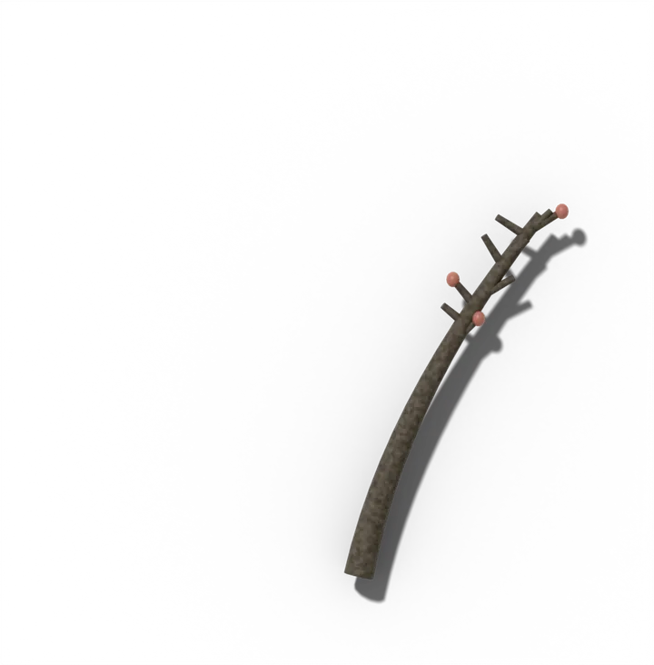 Old gray blueberry cane 2