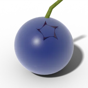 Ripe blueberry