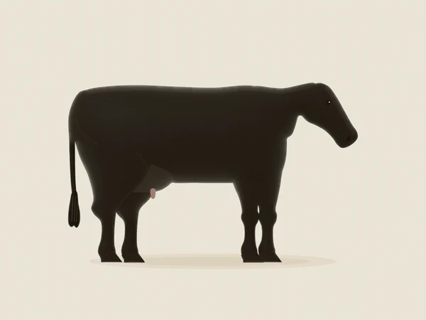 Black Angus cow in side view