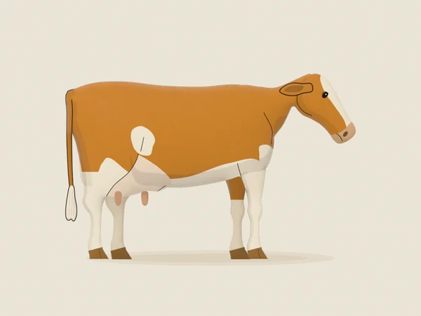 Guernsey cow, fawn and white, in side view