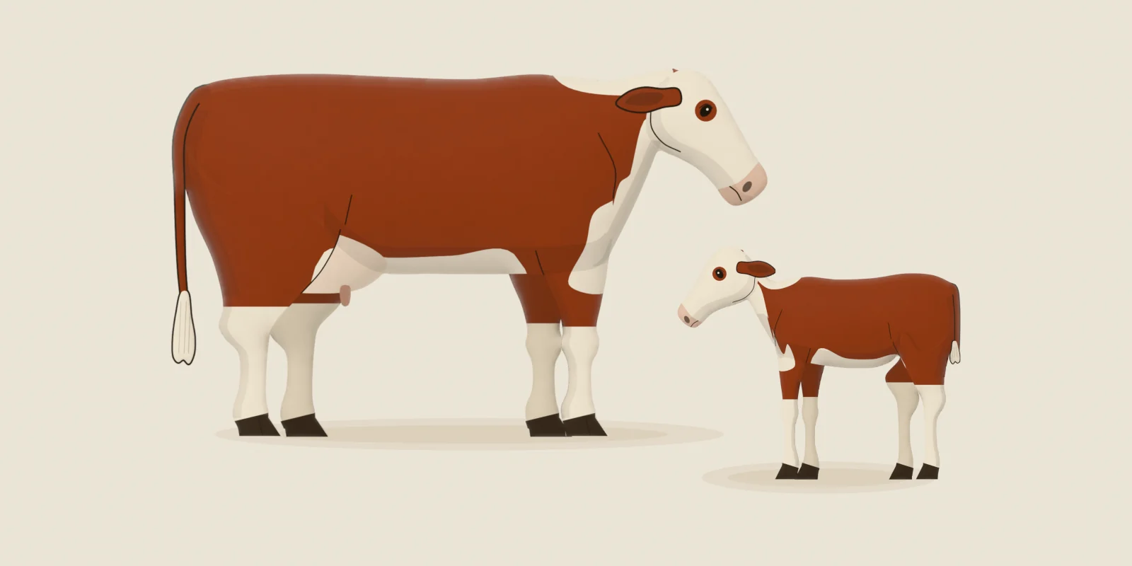 A Hereford cow with her newborn calf at her side