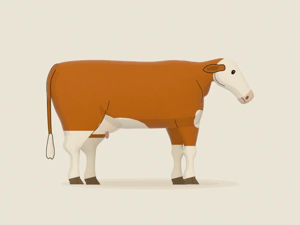 Simmental cow, gold-red with a white face, in side view
