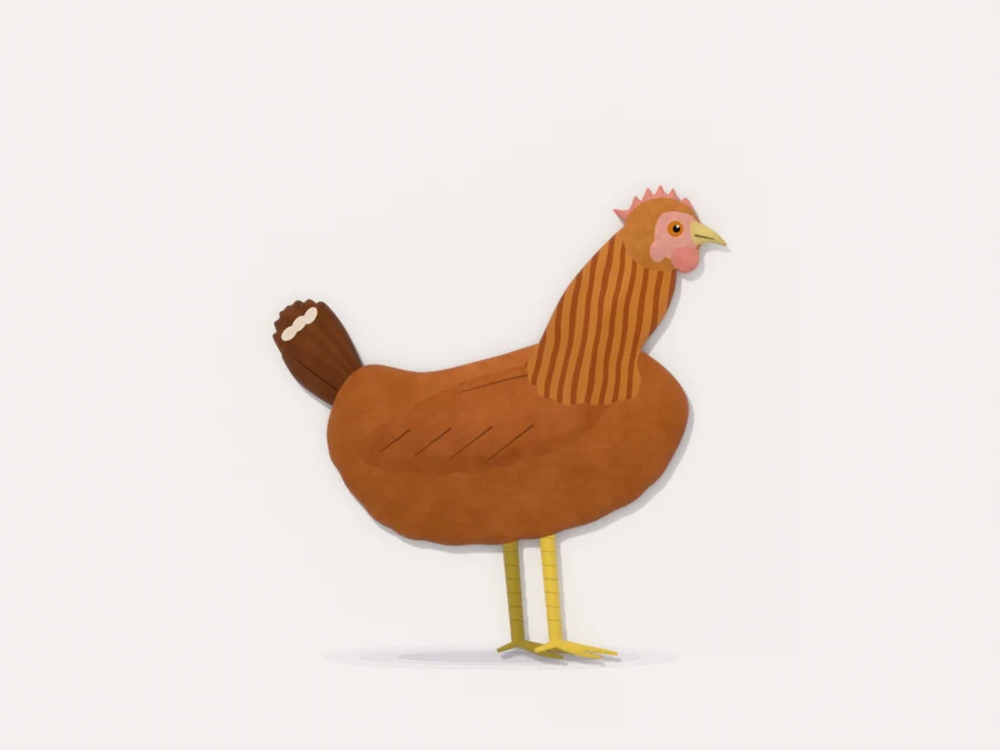 A growing pullet in side profile with an adult outline, short tail and a small pale pink comb