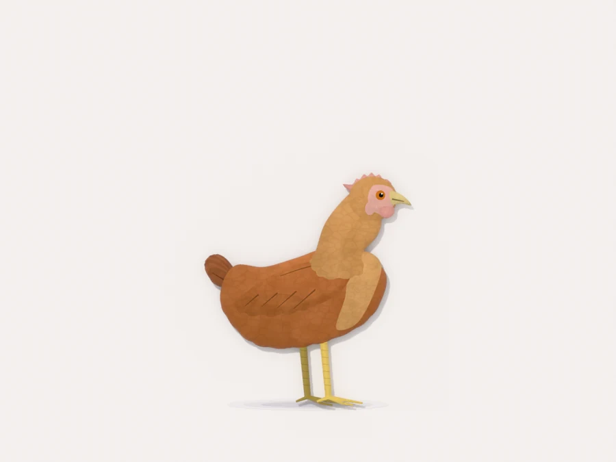 A five-to-eight-week-old juvenile pullet in side profile, feathered in rusty brown with a tiny pale comb and a short tail