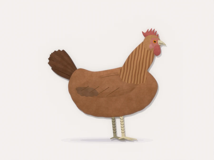 An older hen in side profile with a duller, drooping comb, faded brown feathers and pale, rough-scaled legs
