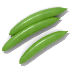 Bean
