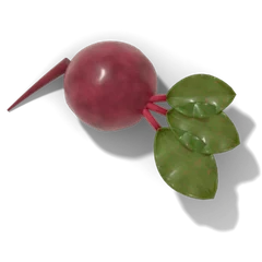 Beet companion plant