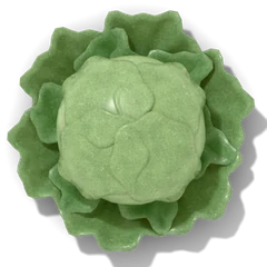 Cabbage family