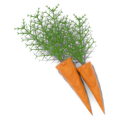 Carrot