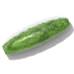 Cucumber