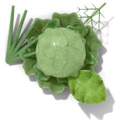 A cabbage half hidden among onion leaves, a dill frond and a lettuce leaf