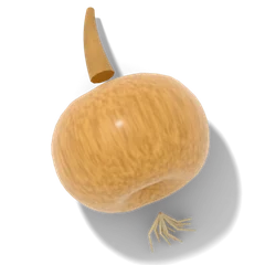 Onion