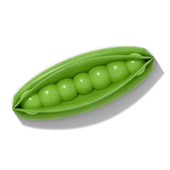 Pea