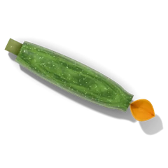 Squash companion plant