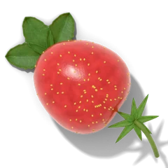 Strawberry