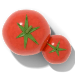 Tomato