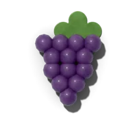 Grape (American), hardy in zones 5–8