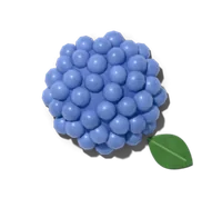 Bigleaf hydrangea, hardy in zones 6–9