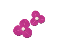 Bougainvillea, hardy in zones 9b–10b