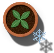 A terracotta pot with a snowflake by its rim