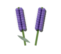 English lavender, hardy in zones 5–9