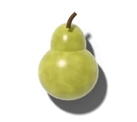 Pear (European), hardy in zones 4–8