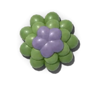 Globe artichoke, hardy in zones 7–10