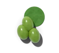 Hardy kiwi, hardy in zones 3–8