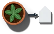 A potted plant with an arrow pointing into a small house