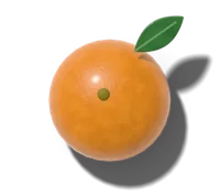 Orange, hardy in zones 9–11