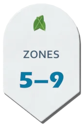 A plant tag reading zones 5–9