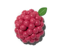 Red raspberry, hardy in zones 4–8