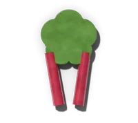 Rhubarb, hardy in zones 3–8