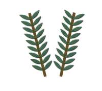 Rosemary, hardy in zones 8–10