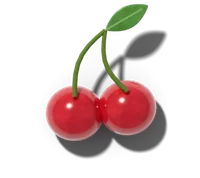 Sour cherry, hardy in zones 3–8