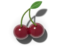Sweet cherry, hardy in zones 5–8