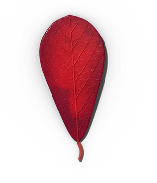 Black tupelo leaf in fall, crimson