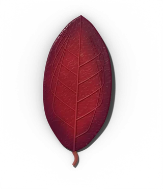 Dogwood leaf in fall, red to purple