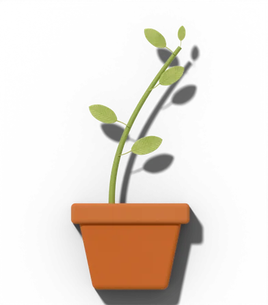 Potted houseplant showing: Small, pale new leaves; leggy stems lean to light.