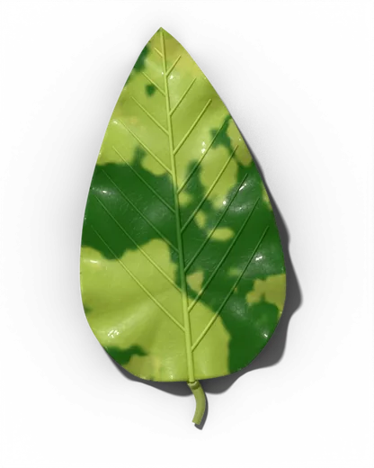 Mosaic virus leaf