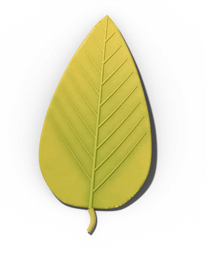Nitrogen deficiency leaf