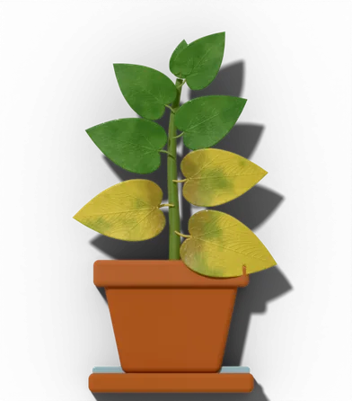 Potted houseplant showing: Yellow, limp lower leaves; soil stays soggy.