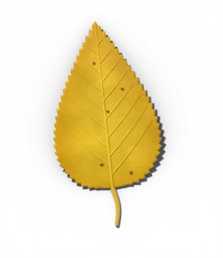 Paper birch leaf in fall, bright yellow