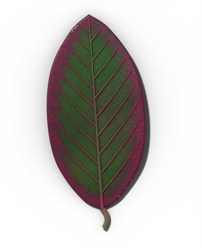Phosphorus (P) symptom: Dull dark green with purple-red tints, esp. edges and veins.