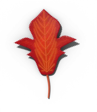 Red maple leaf in fall, brilliant scarlet