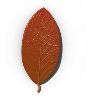Normal leaf color, not a problem: red new growth
